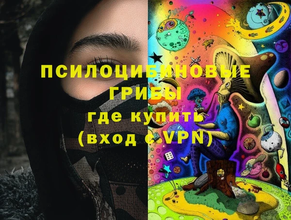 дживик Арсеньев