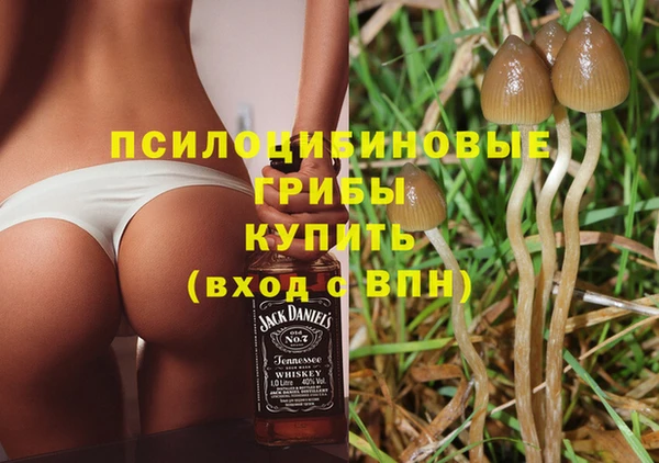 амф Армянск