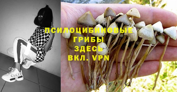 экстази Аркадак